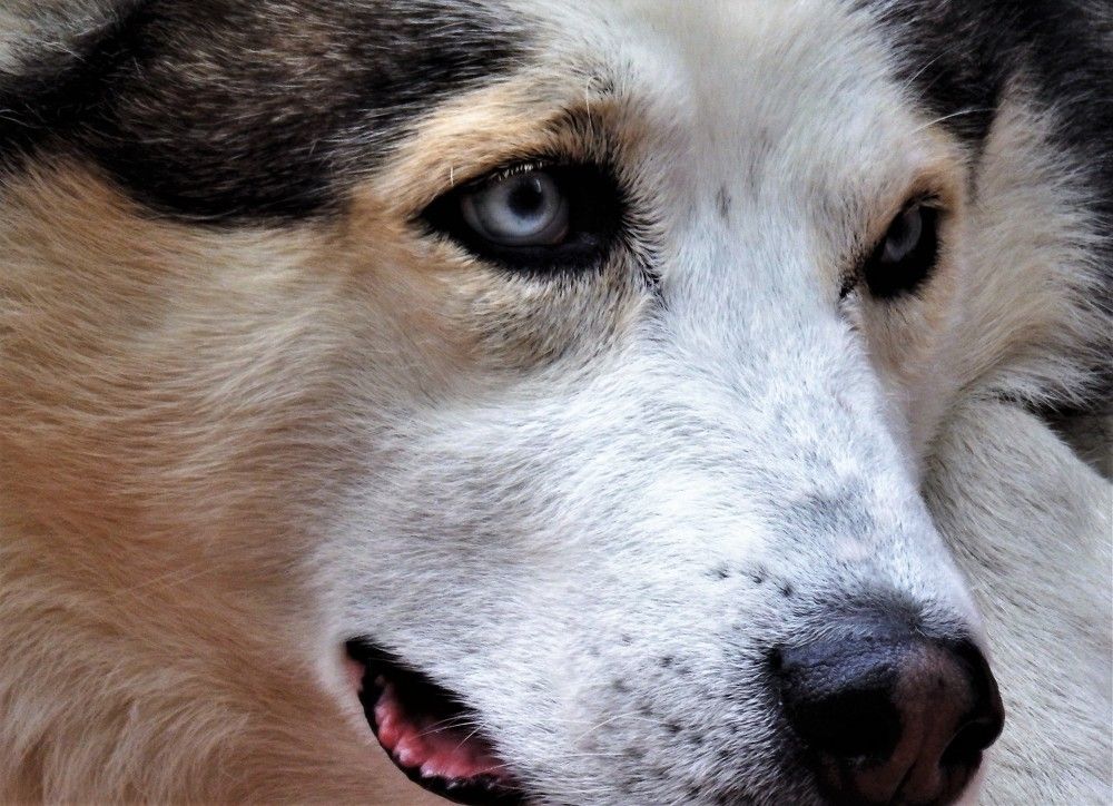 Фотография автора Tiia Vissak