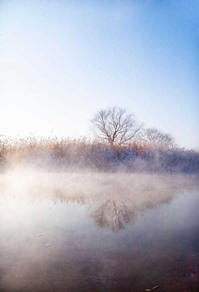 Photograph by Усатый Александр