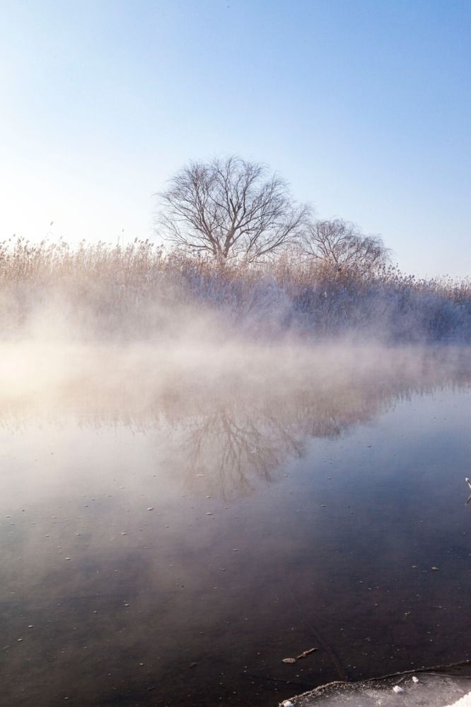 Photograph by Усатый Александр