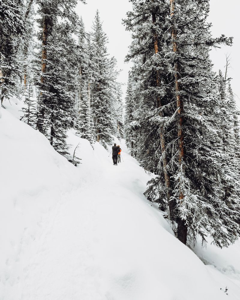 Photograph by Austin Richardson