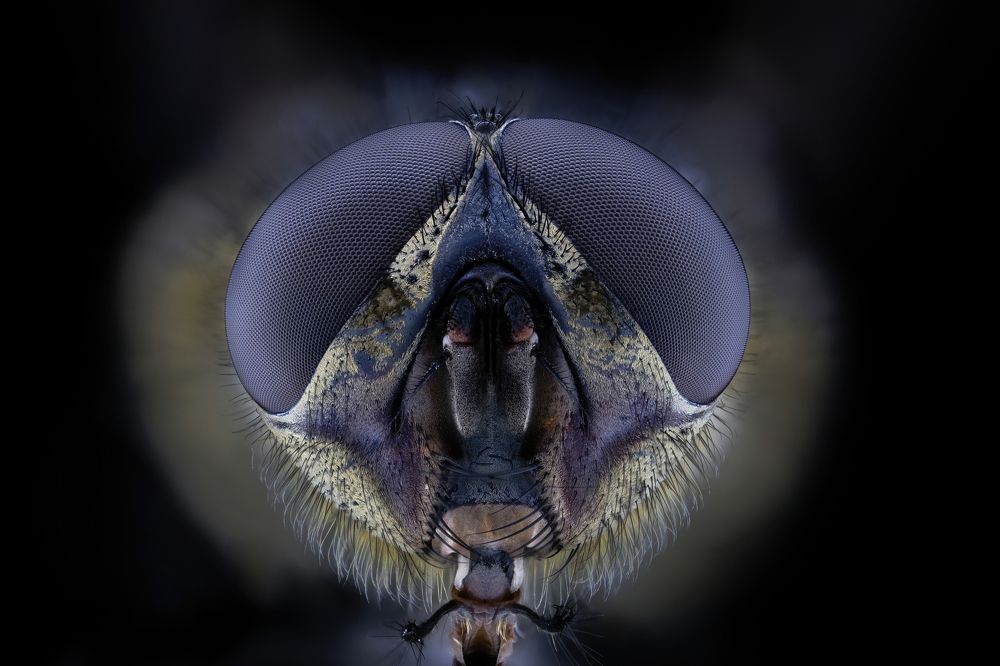 Photograph by Антон Орленко