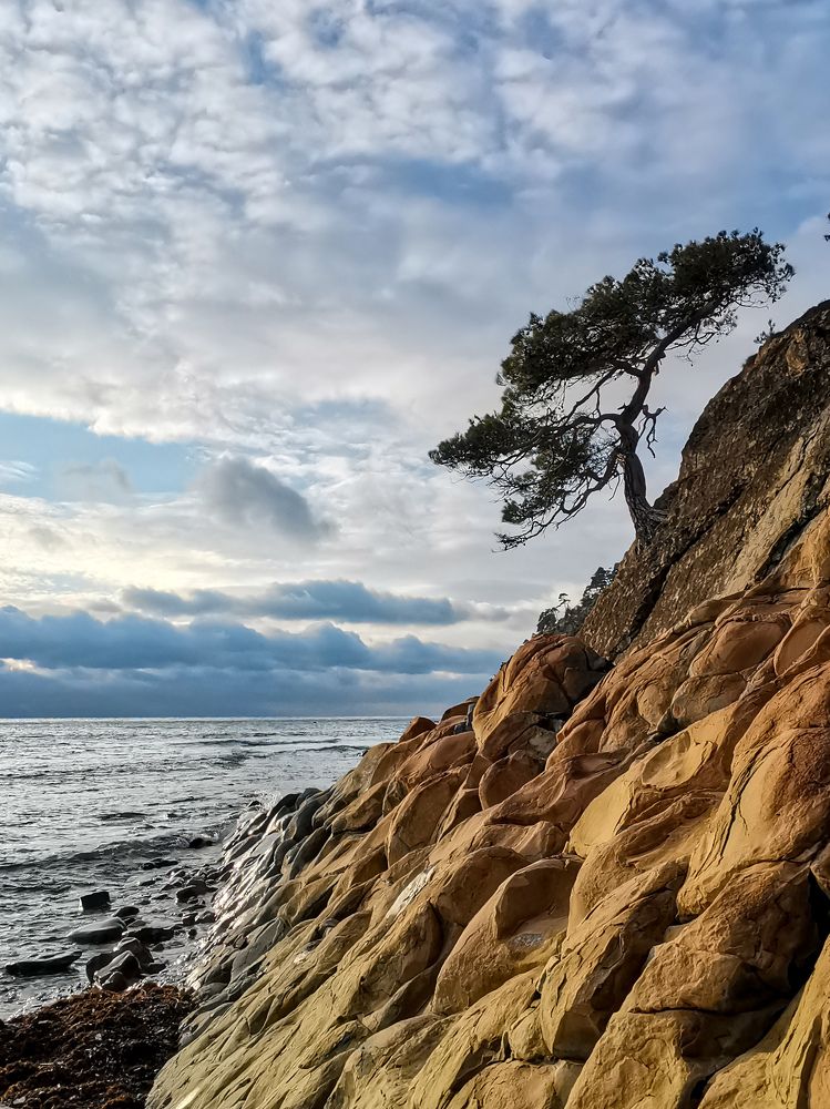 Одинокая, но не сломлена.