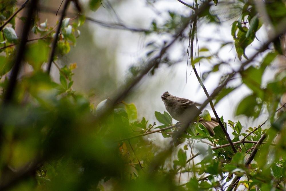 Photograph by David Vivallo