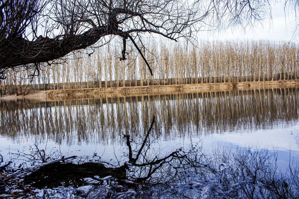 Photograph by Владимир Платонов