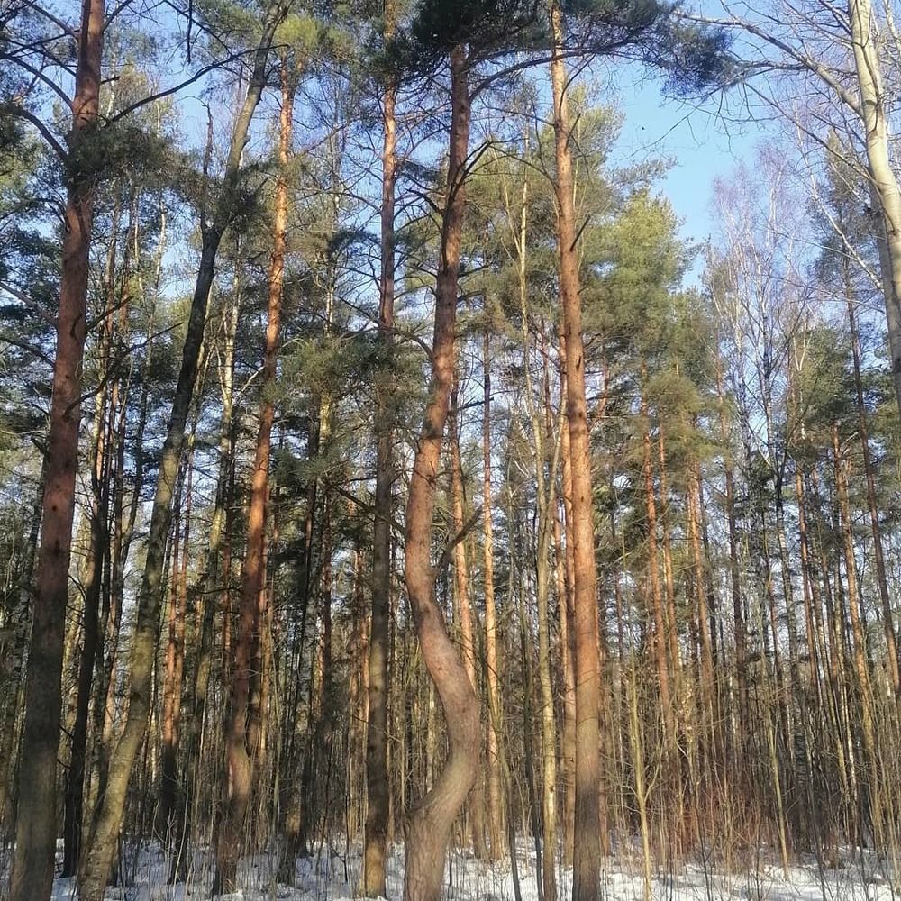 Photograph by Алексей Смирнов