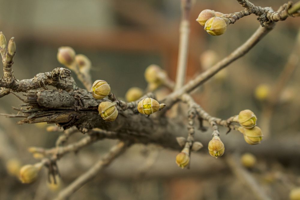 Photograph by Владимир Платонов
