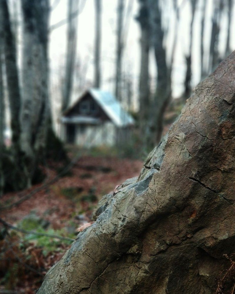 Photograph by Александр Усенко