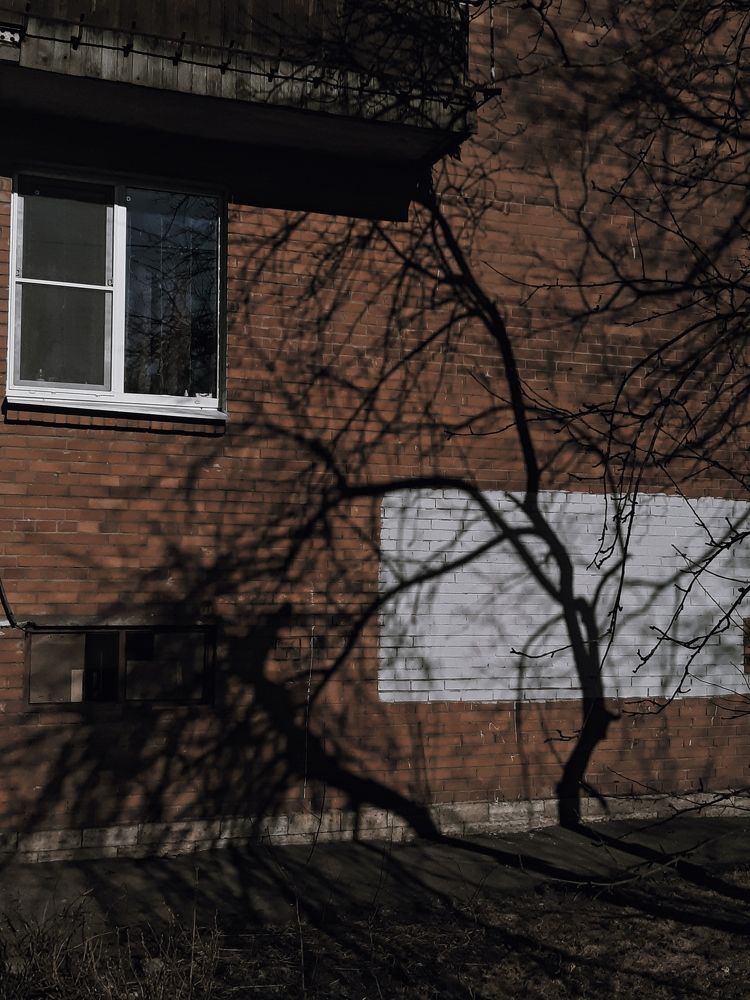 Photograph by Артём Пряхин