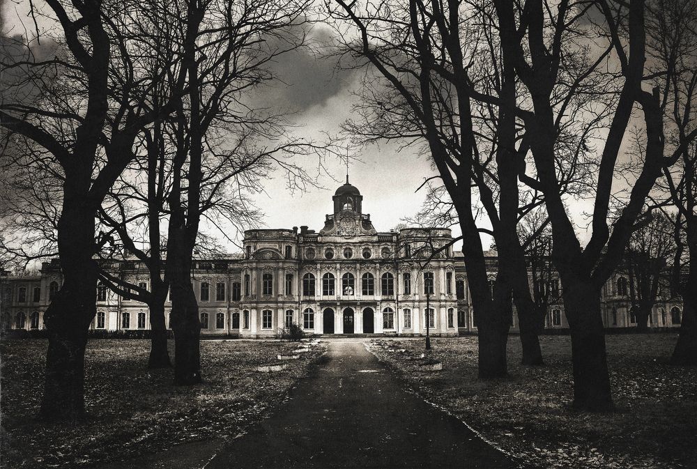 Photograph by Артём Пряхин