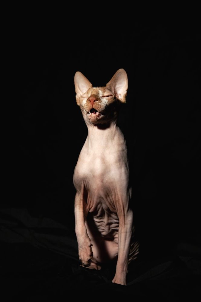 Photograph by Маша Коваленко