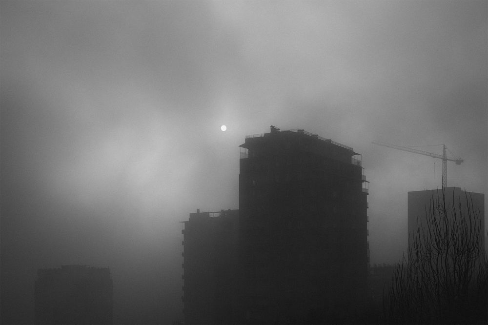 Photograph by mariam khazalia