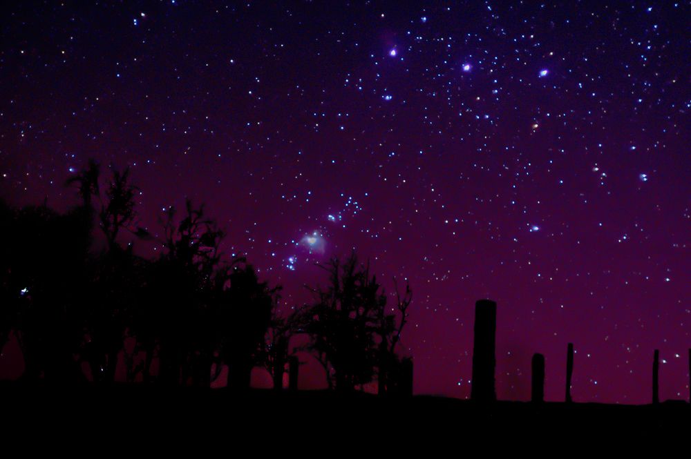 Orion above the hill