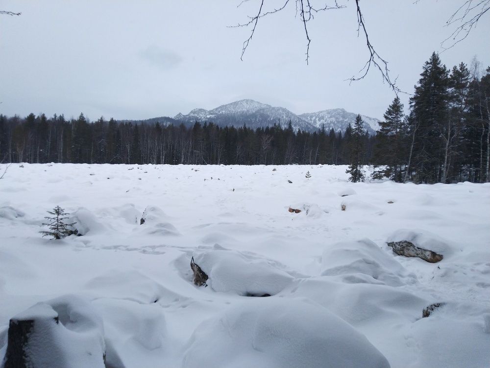 Photograph by Наталья Шулятина