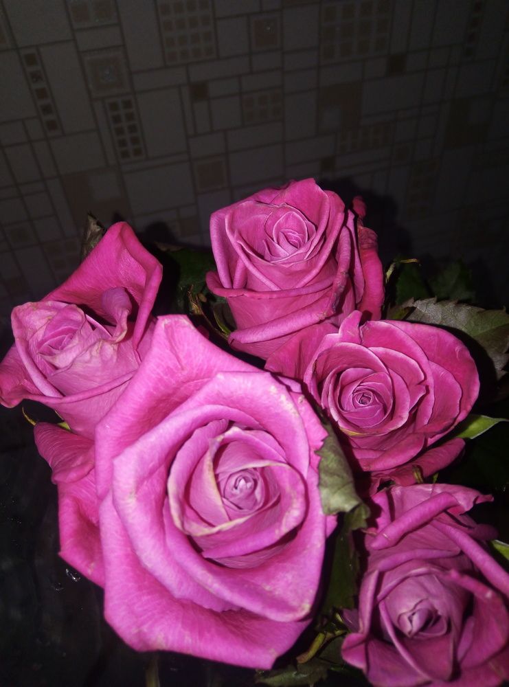 Photograph by Рустем Абубакиров