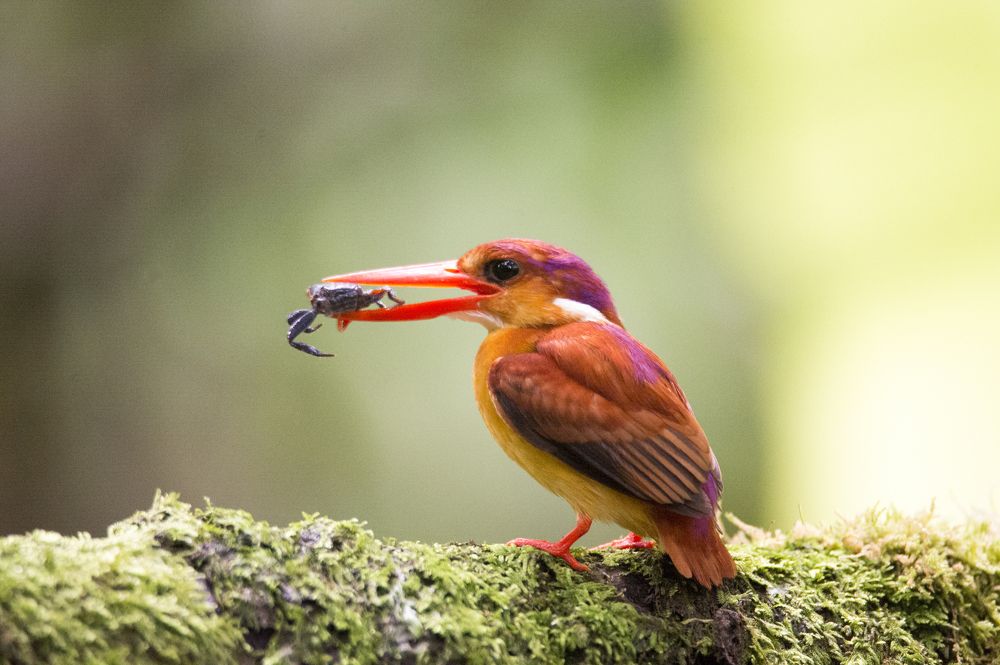 Photograph by dwi agung sulistyo