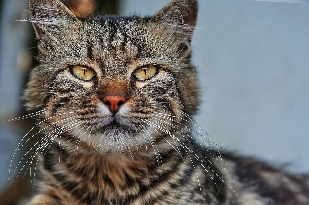 Photograph by Владимир Малевич