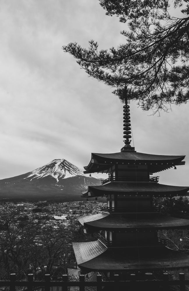 Photograph by Fernandes Felipe