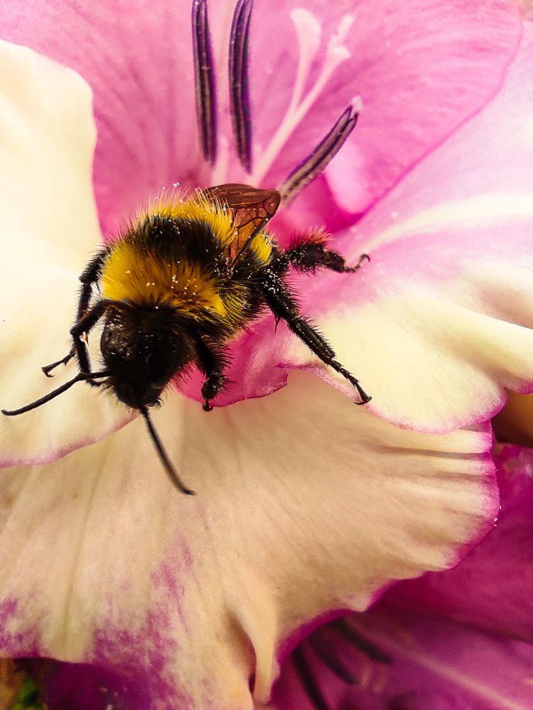 Фотография автора Марина Гусева