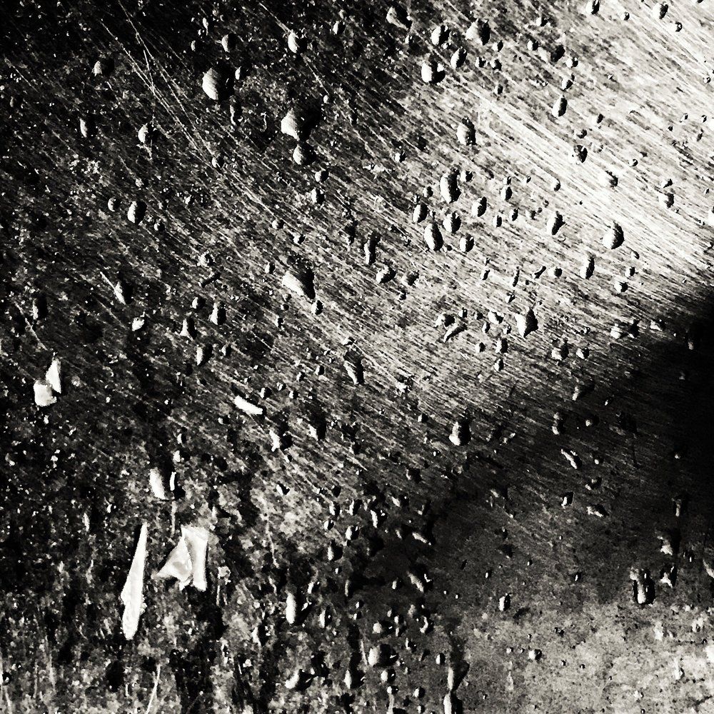 Photograph by amir ali navadeh shahla