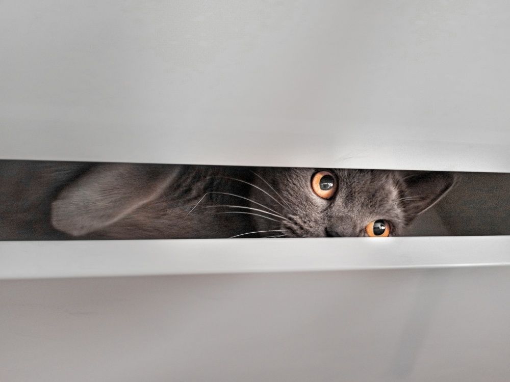 Photograph by Валерий Майоров