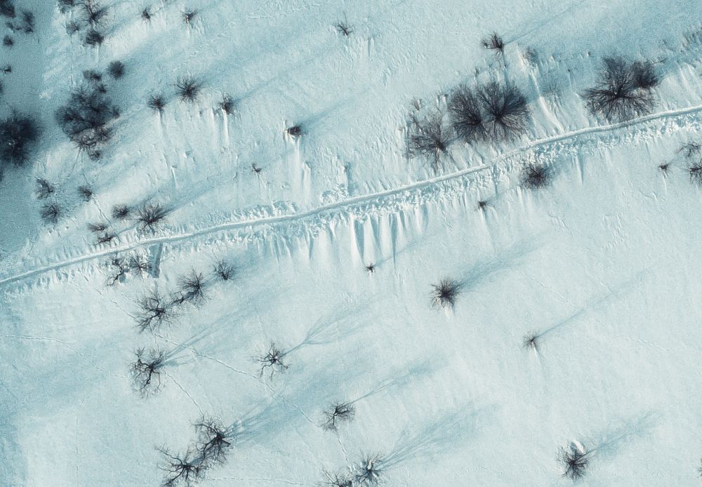 Photograph by Saulius Mikalauskas