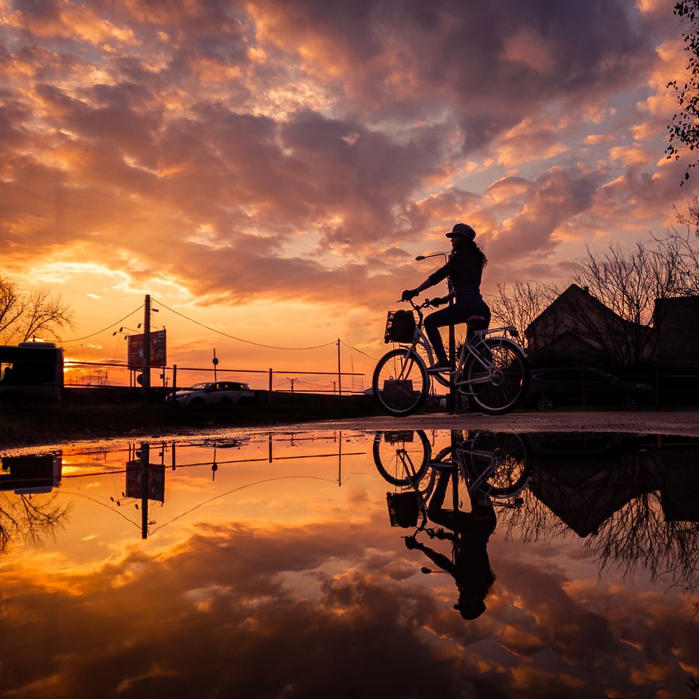 Фотография автора Amir H. Bakhtiari