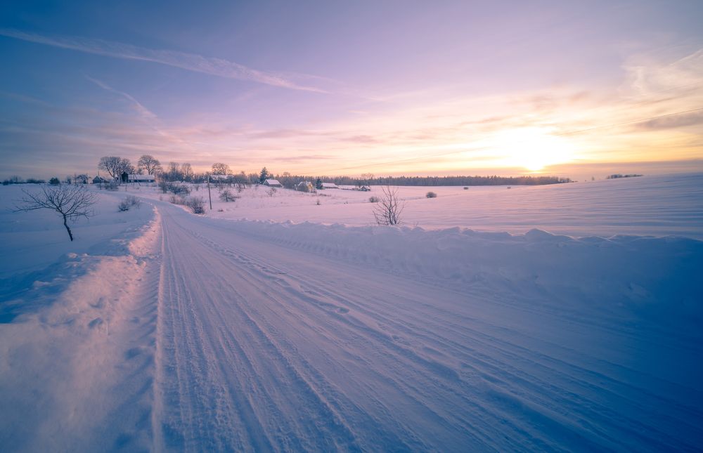 Photograph by Saulius Mikalauskas