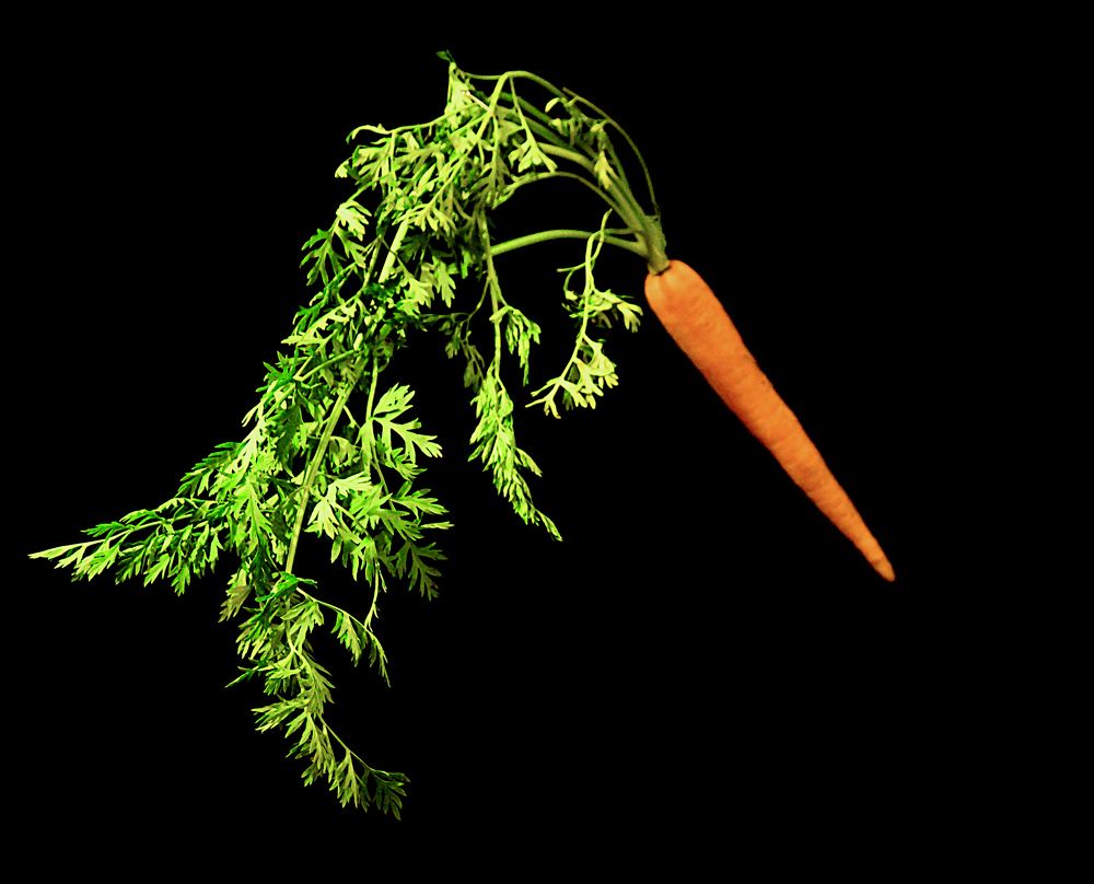 Photograph by AlexSa