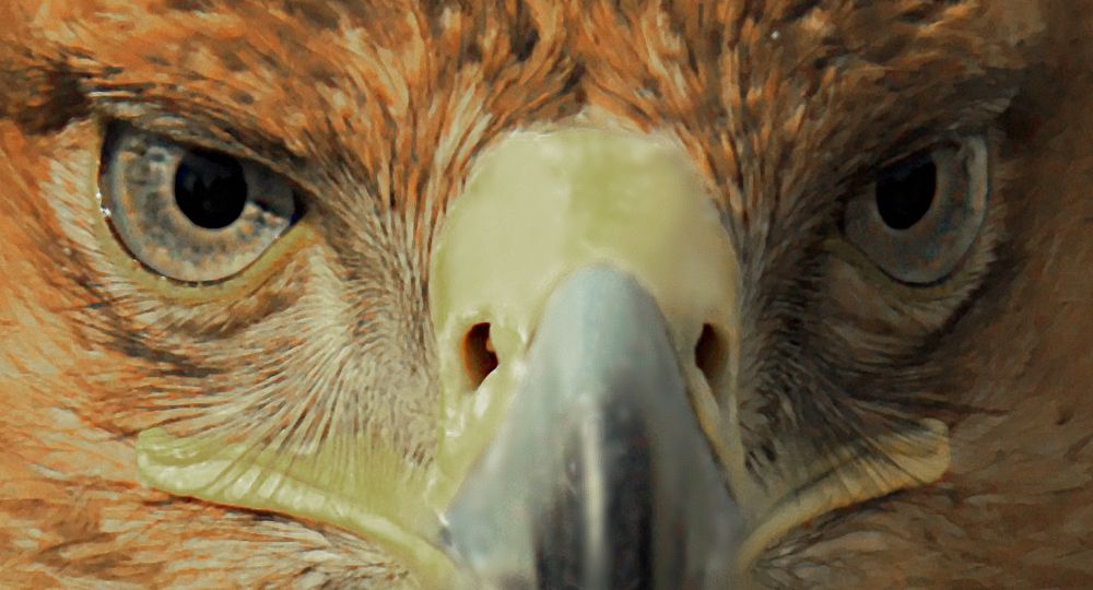 Photograph by AlexSa