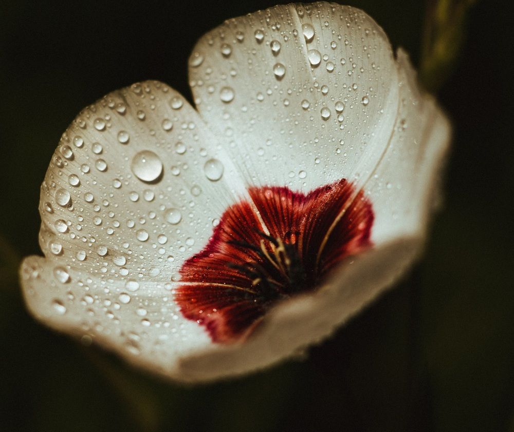 Photograph by Ольга Саенко