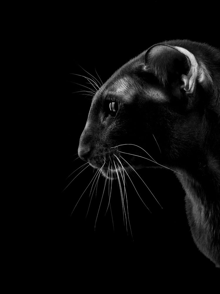 Photograph by Фусс Сергей Александрович