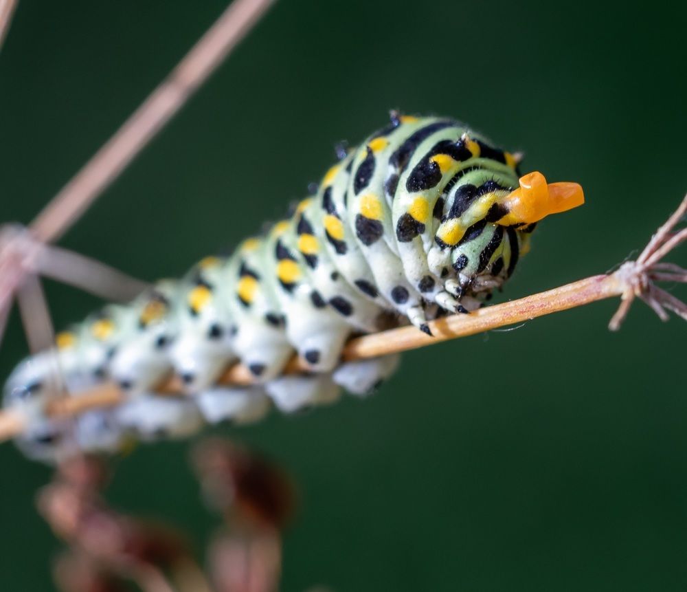 Photograph by Ольга Саенко