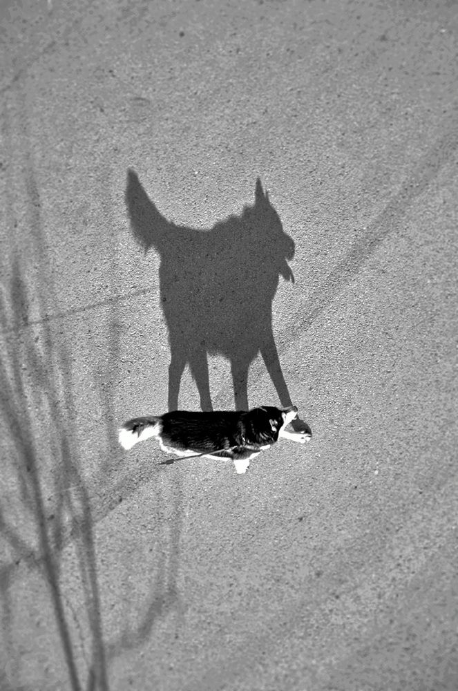 Photograph by Stoyan Baev