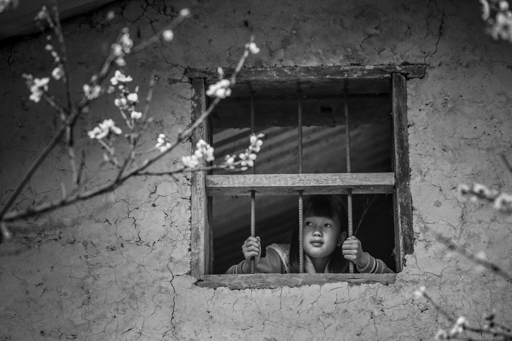 Spring outside the window.