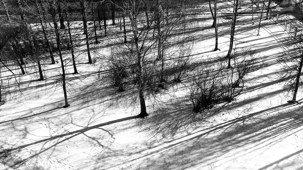 Фотография автора Михаил Назаров