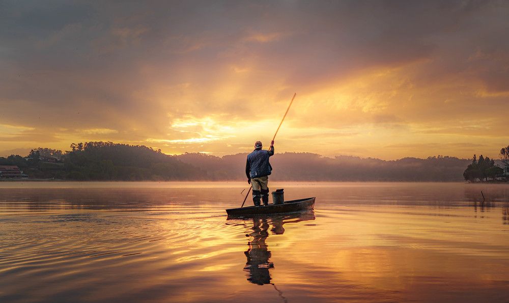 Photograph by João Pedro Martins