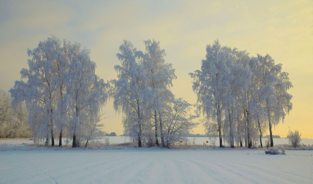 Photograph by Василий Быстрицкий