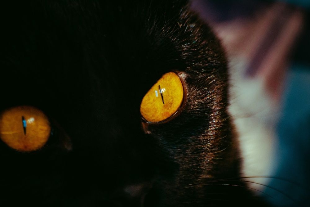 Photograph by Сергей Золотоверхий