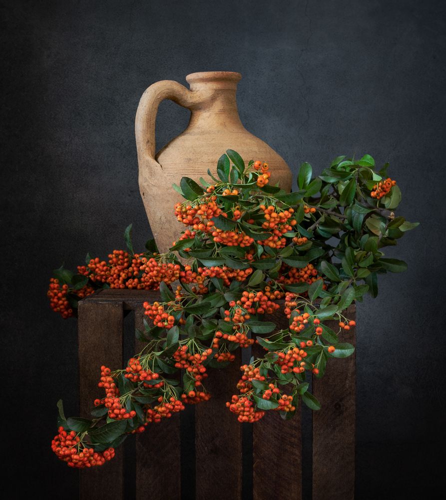 Кувшин и пираканта