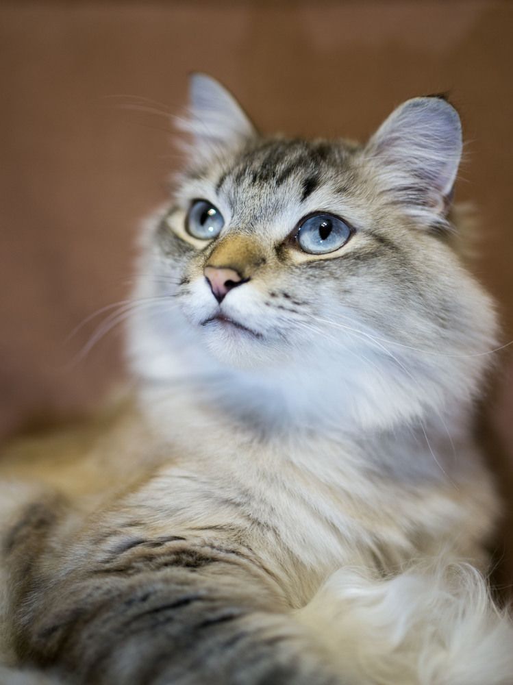 Photograph by Наталья Переверзева