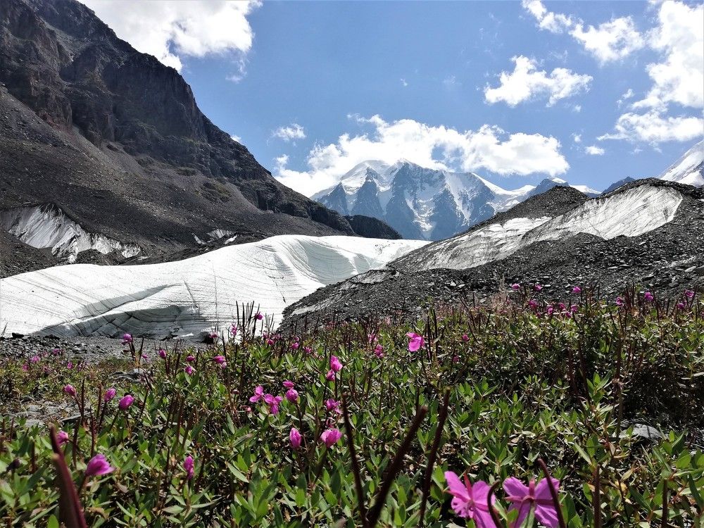 Photograph by Сергей Мизинов