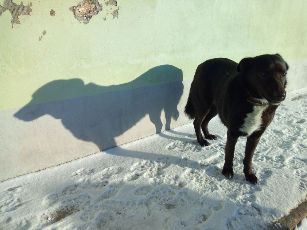 Photograph by Юлия