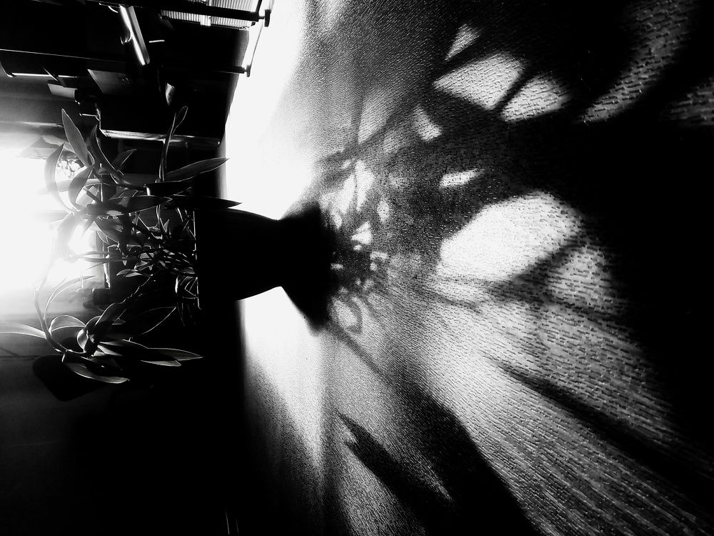 Photograph by Алиса Крамская
