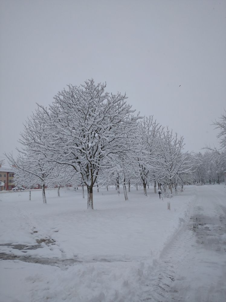 Photograph by Ирина Бельская