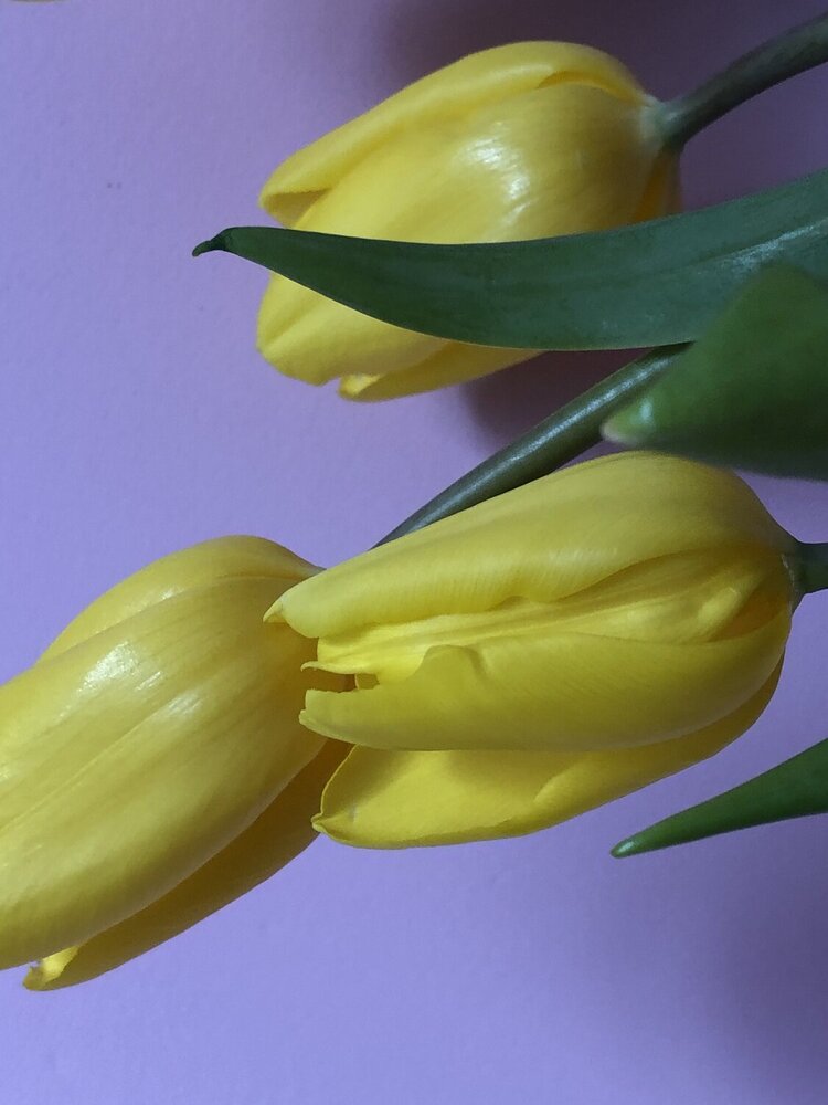 Photograph by Liubov