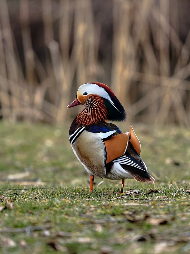 Photograph by Владимир Кульбит