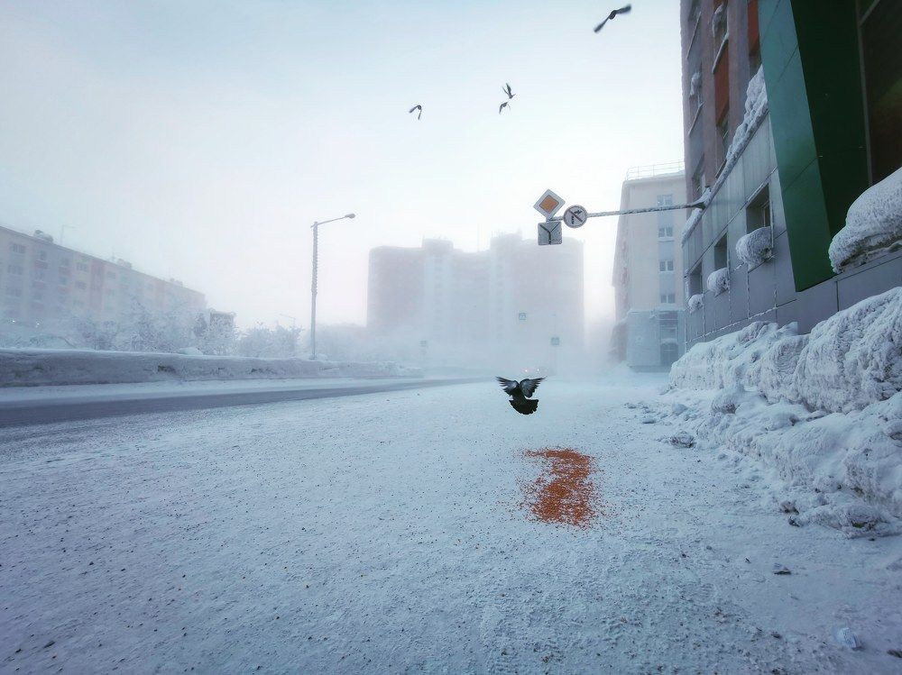 Photograph by Антон Кривошейцев