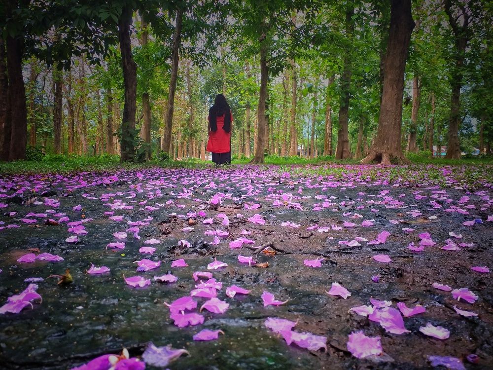 Peace in nature
