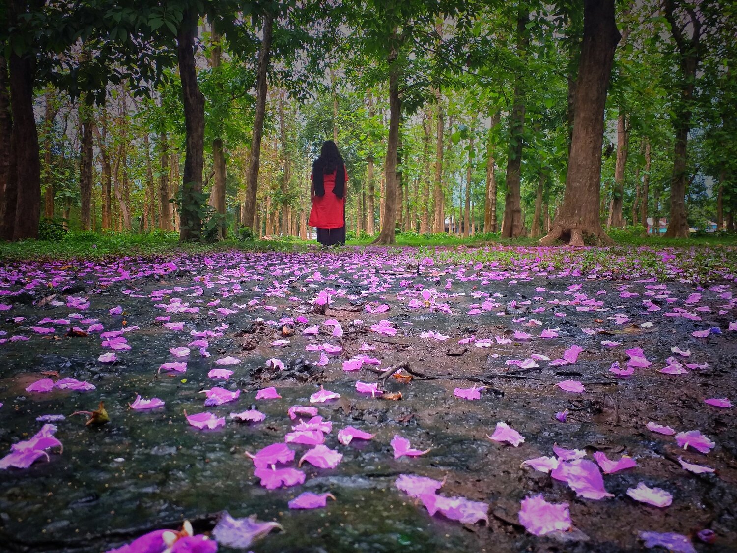 Peace in nature