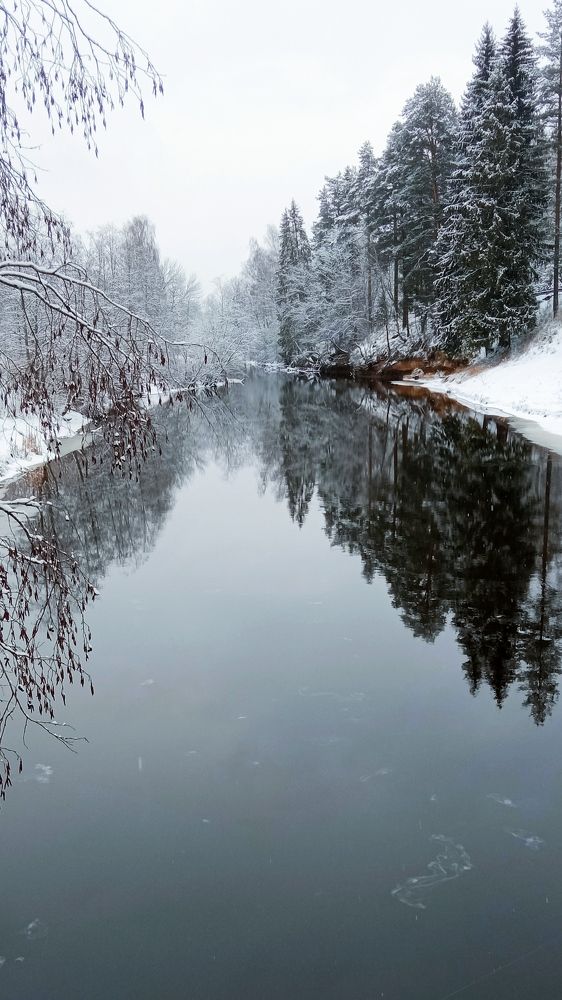 Photograph by Александр Игнатьев